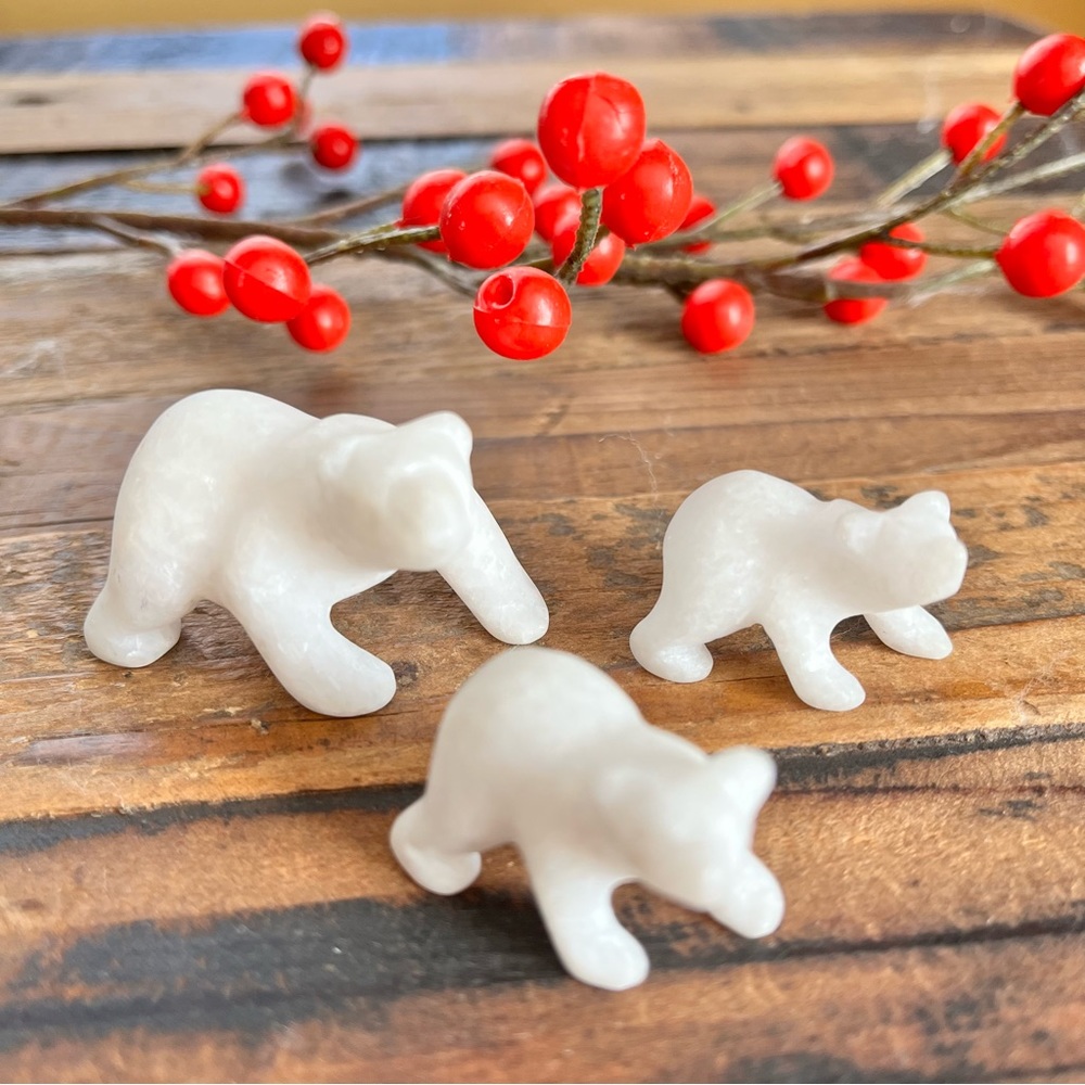 POLAR Bear Family